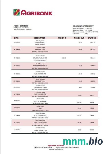 Szablon wyciągu bankowego Venezuela Mercantil w programie Word i PDF